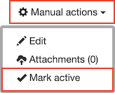 manual actions mark active