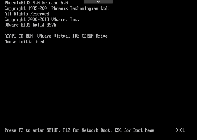 VM BIOS